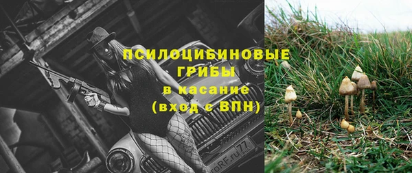 не бодяженный Алзамай