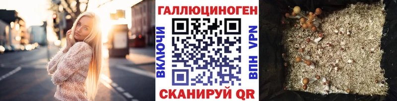 Псилоцибиновые грибы ЛСД  купить   Болохово 